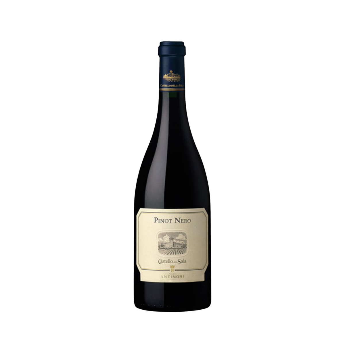 Pinot Nero, Umbria IGT 2020